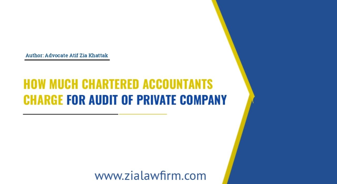 Chartered Accountant Audit Fees for Private Limited Company in Pakistan - Cost Factors Explained